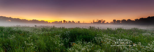 A SUMMER MORNING VIEW OF A MISTY SUNRISE WITH WILDFLOWERS