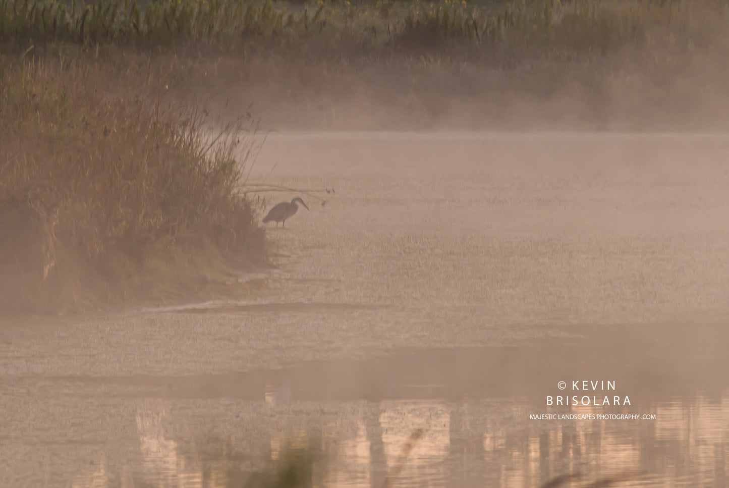 REMAINING MOTIONLESS