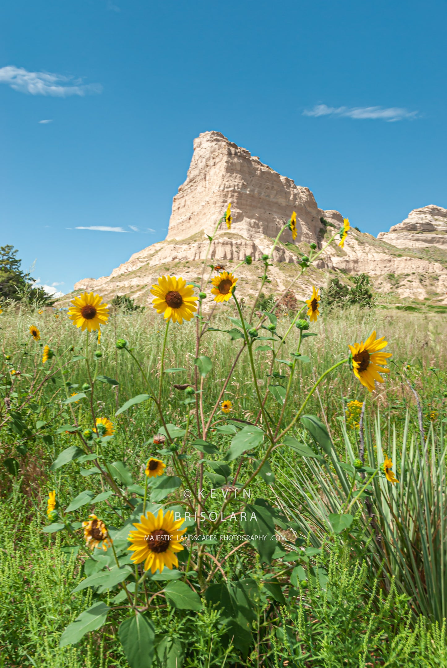 GOLDEN COLORS AT EAGLE ROCK