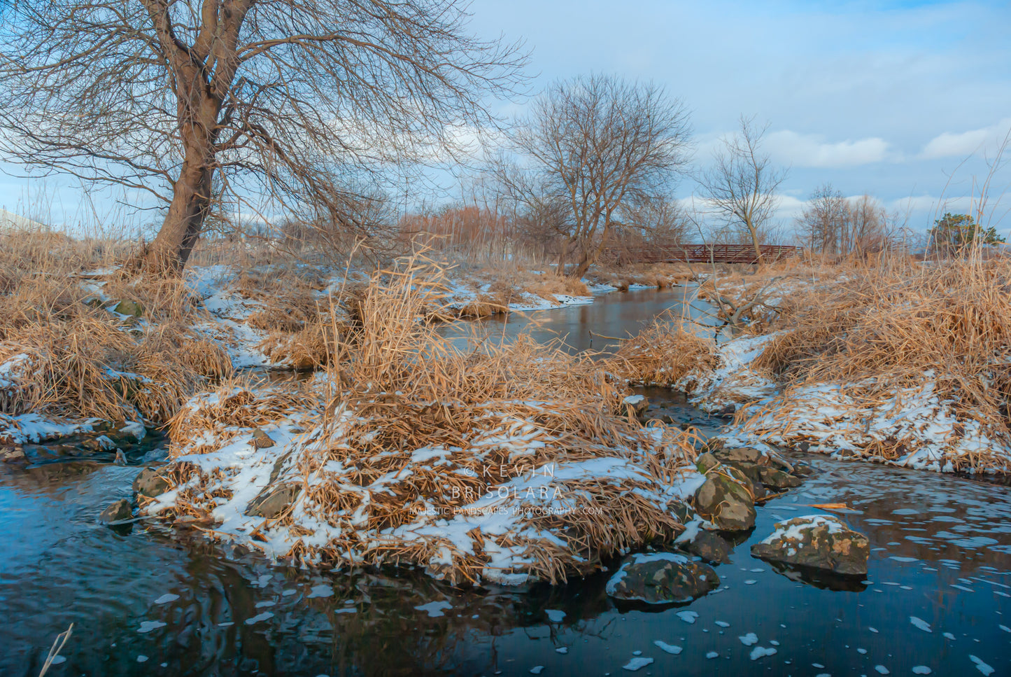 A LATE WINTER HIKE