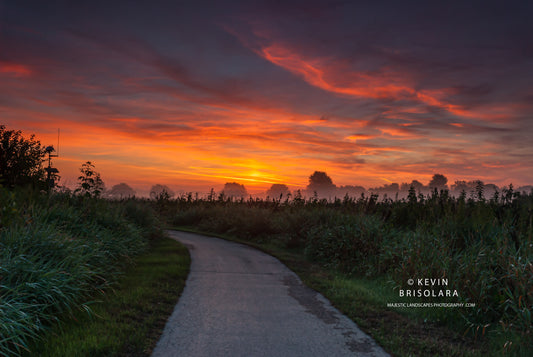A BEAUTIFUL MISTY SUNRISE STARTS THE DAY