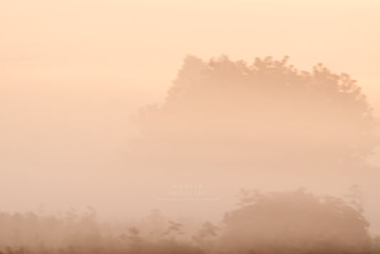 A COLORFUL AND MISTY MORNING