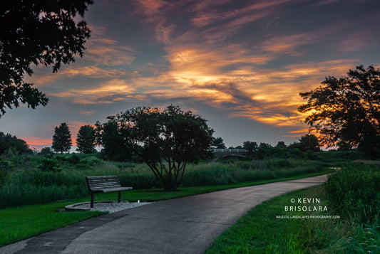 ENJOYING THE MORNING WALK
