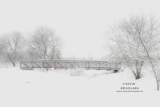 HOLIDAY GREETING CARDS 527-10  BRIDGE, SNOW, BOX ELDER TREES, SOUTH FORK KISHWAUKEE RIVER