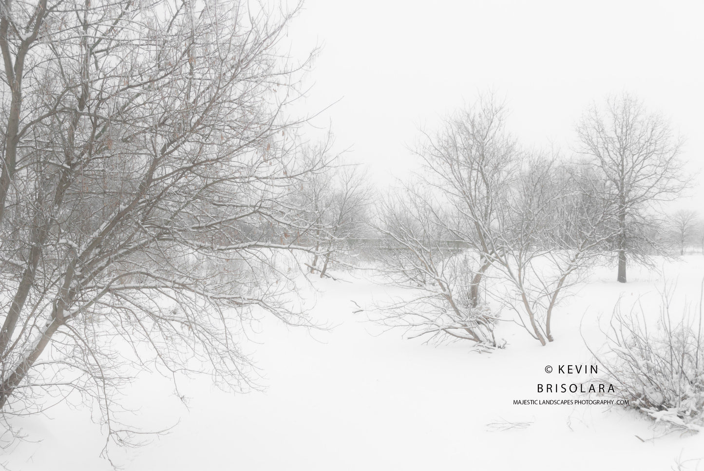 HOLIDAY GREETING CARDS 527-15  BRIDGE, SNOW, BOX ELDER TREES, SOUTH FORK KISHWAUKEE RIVER