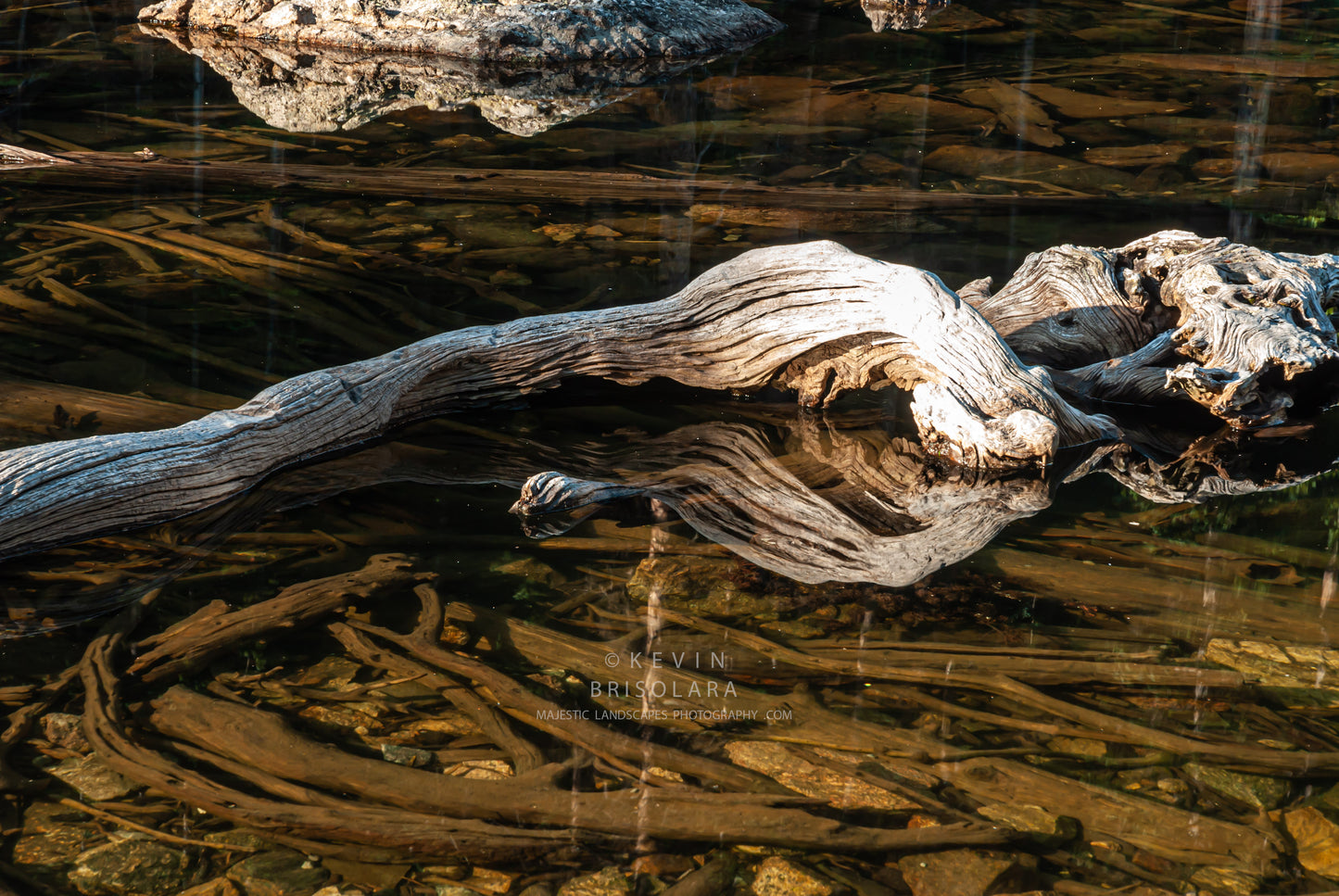 AN INTERESTING SCENE