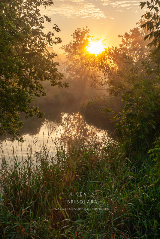 AN AUGUST SUNRISE FROM THE PARK