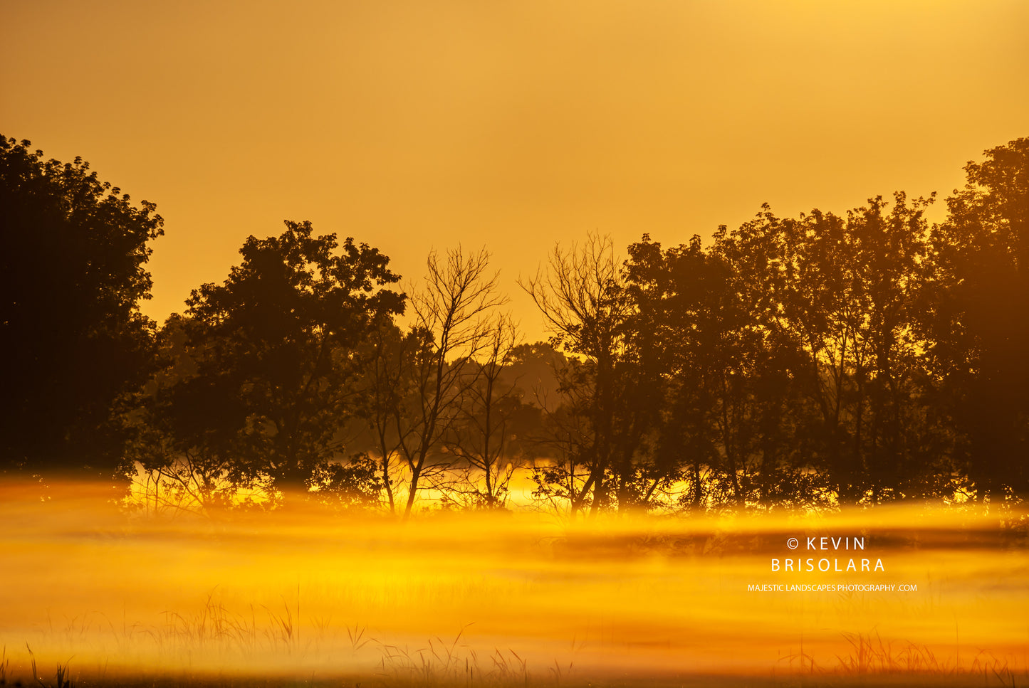 GOLDEN MIST FROM A SUMMERS SUNRISE