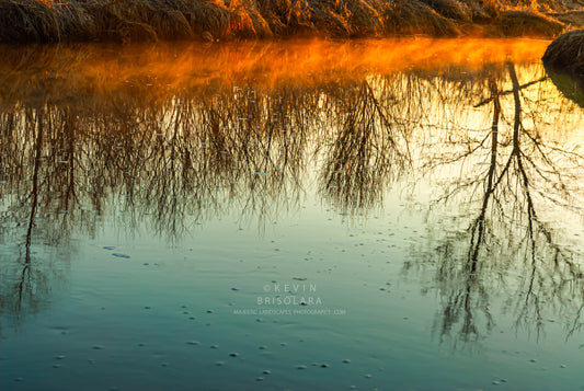 GOLDEN MIST AND REFLECTIONS FROM THE RIVER