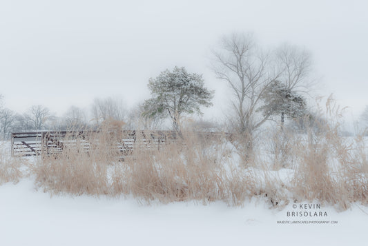 HOLIDAY GREETING CARDS 477-127  SNOW, BRIDGE, PEACHLEAF WILLOW TREE, GRASSES