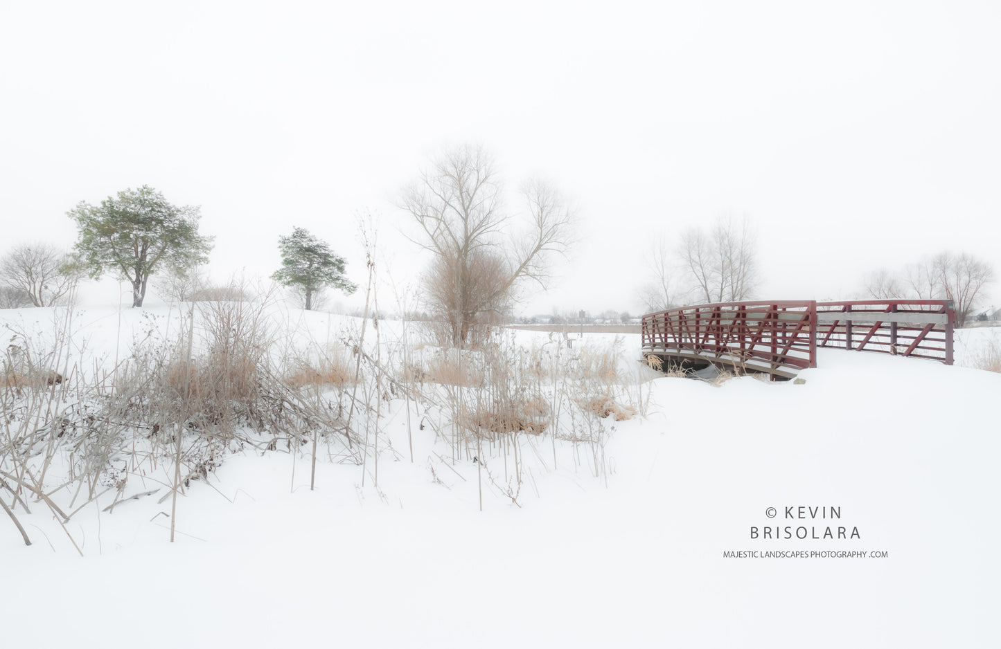 HOLIDAY GREETING CARDS 477-0130  SNOW, BRIDGE, PEACHLEAF WILLOW TREE, GRASSES