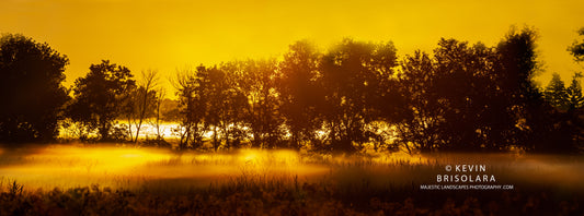 A GOLDEN MISTY SUMMER MORNING