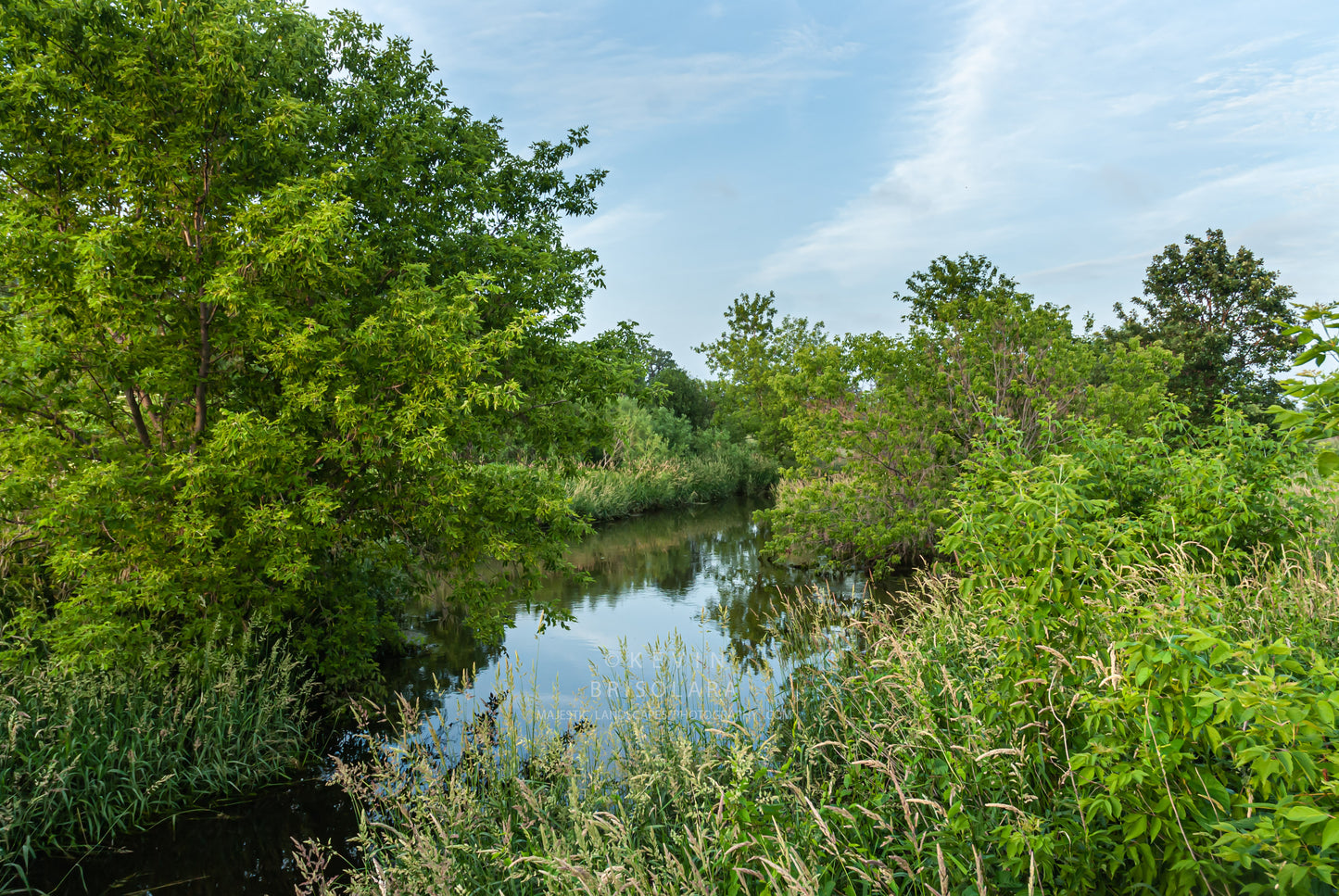 A BEAUTIFUL MOMENT OF REFLECTIONS