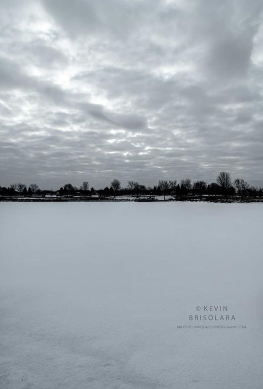 A WINTER SCENE FROM THE LAKE