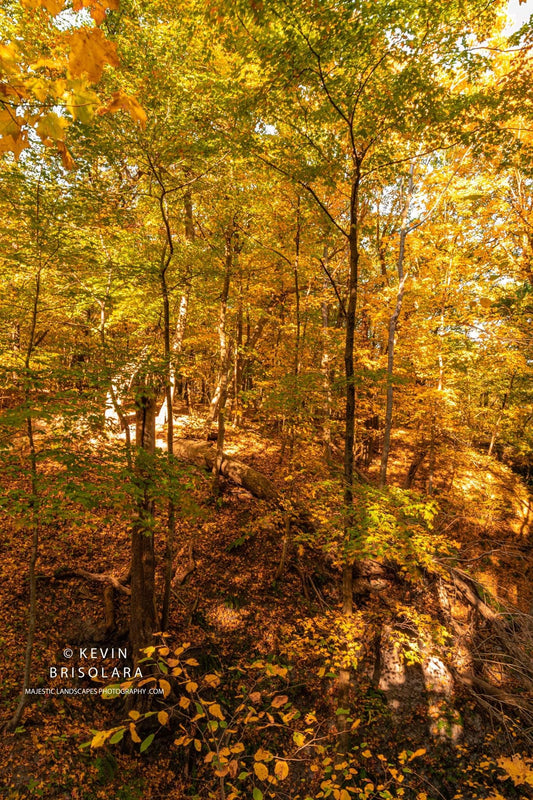 HIKING THROUGH AN AUTUMN LANDSCAPE