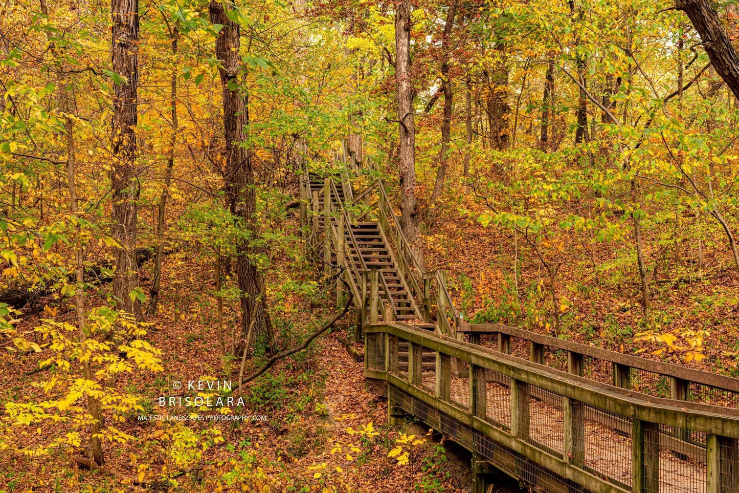 AN AUTUMN JOURNEY