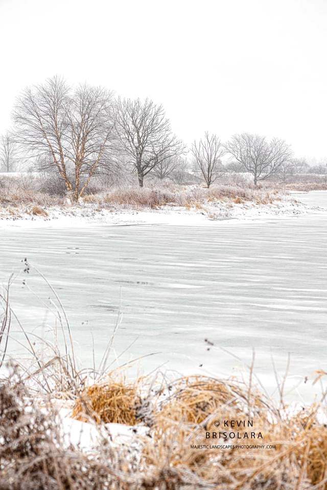 A FROZEN WORLD
