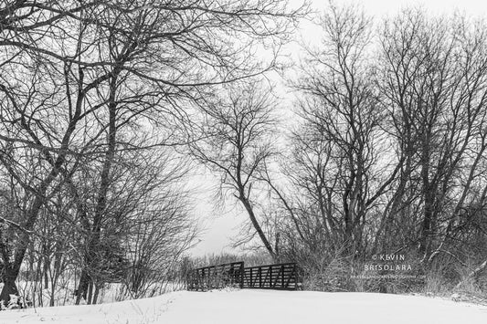 NOTE CARDS 686_3488  SNOW, BRIDGE, WILDFLOWER PARK