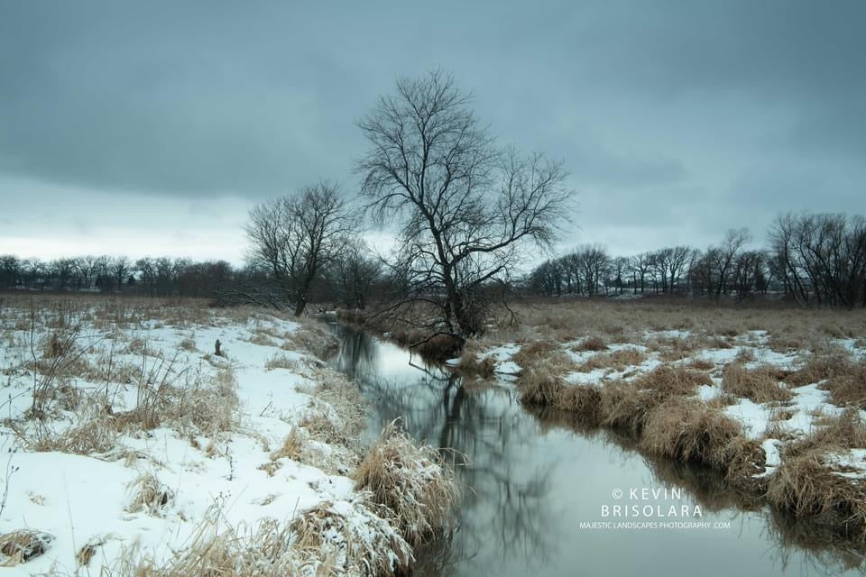 WHISPERS OF THE WINTER CREEK