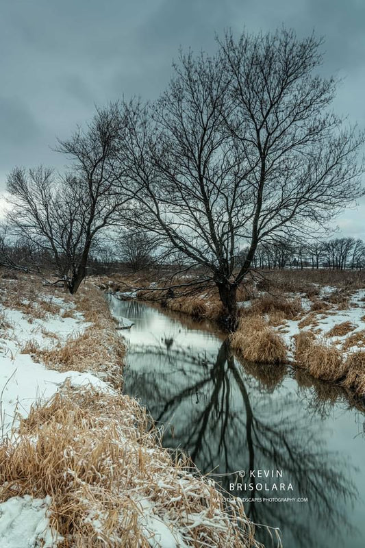 A MORNING SNOWFALL