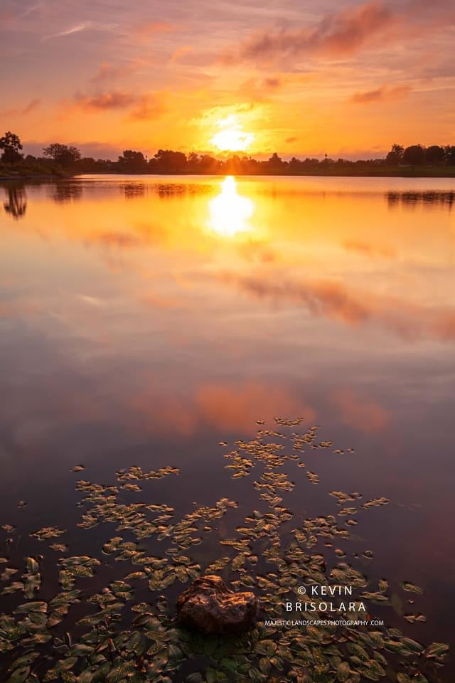 REFLECTIONS OF A CALM SUMMER MORNING