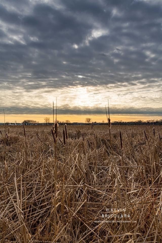A PRAIRIE SUNSET