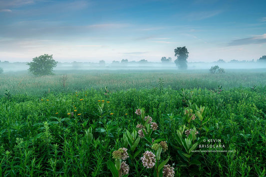 A MISTY MORNING ON THE PRAIRIE