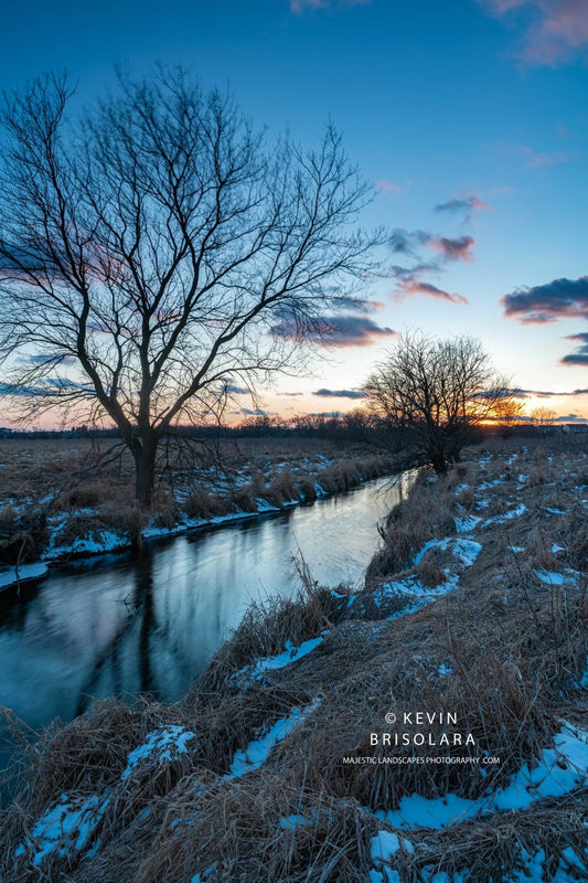 ENJOYING THE PEACEFUL SCENE ALONG THE CREEK