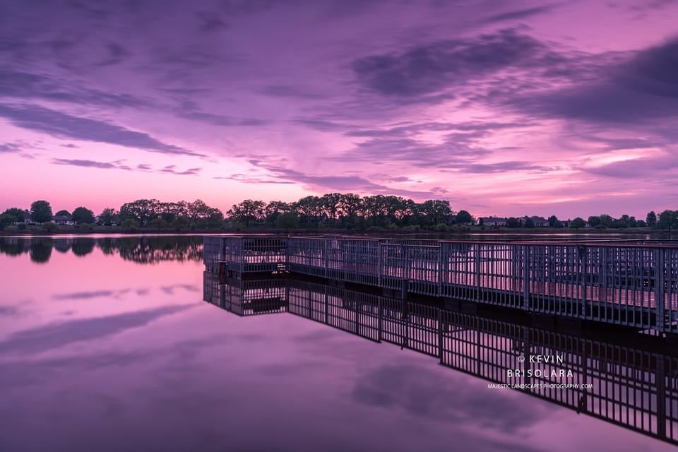 A SPRING SCENE AT SUNRISE