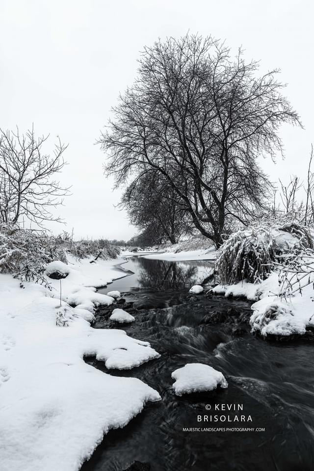 LISTENING TO THE SILENCE OF WINTER