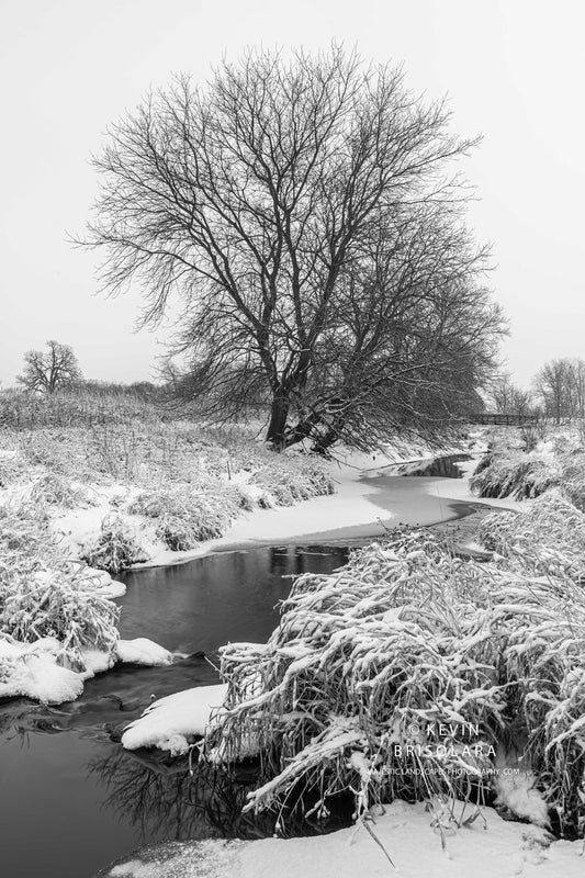 A QUIET STILLNESS