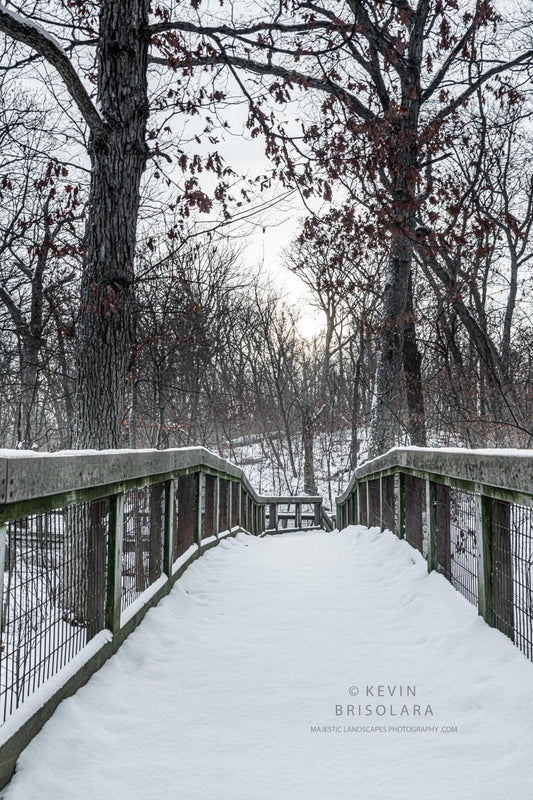 A WINTER HIKE