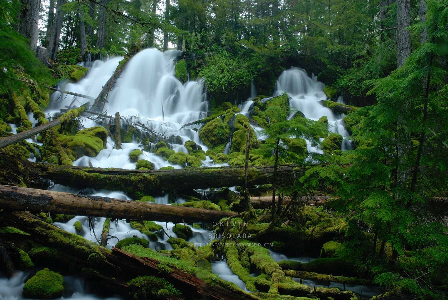NOTE CARDS 151_448 CLEARWATER FALLS, UMPQUA NATIONAL FOREST