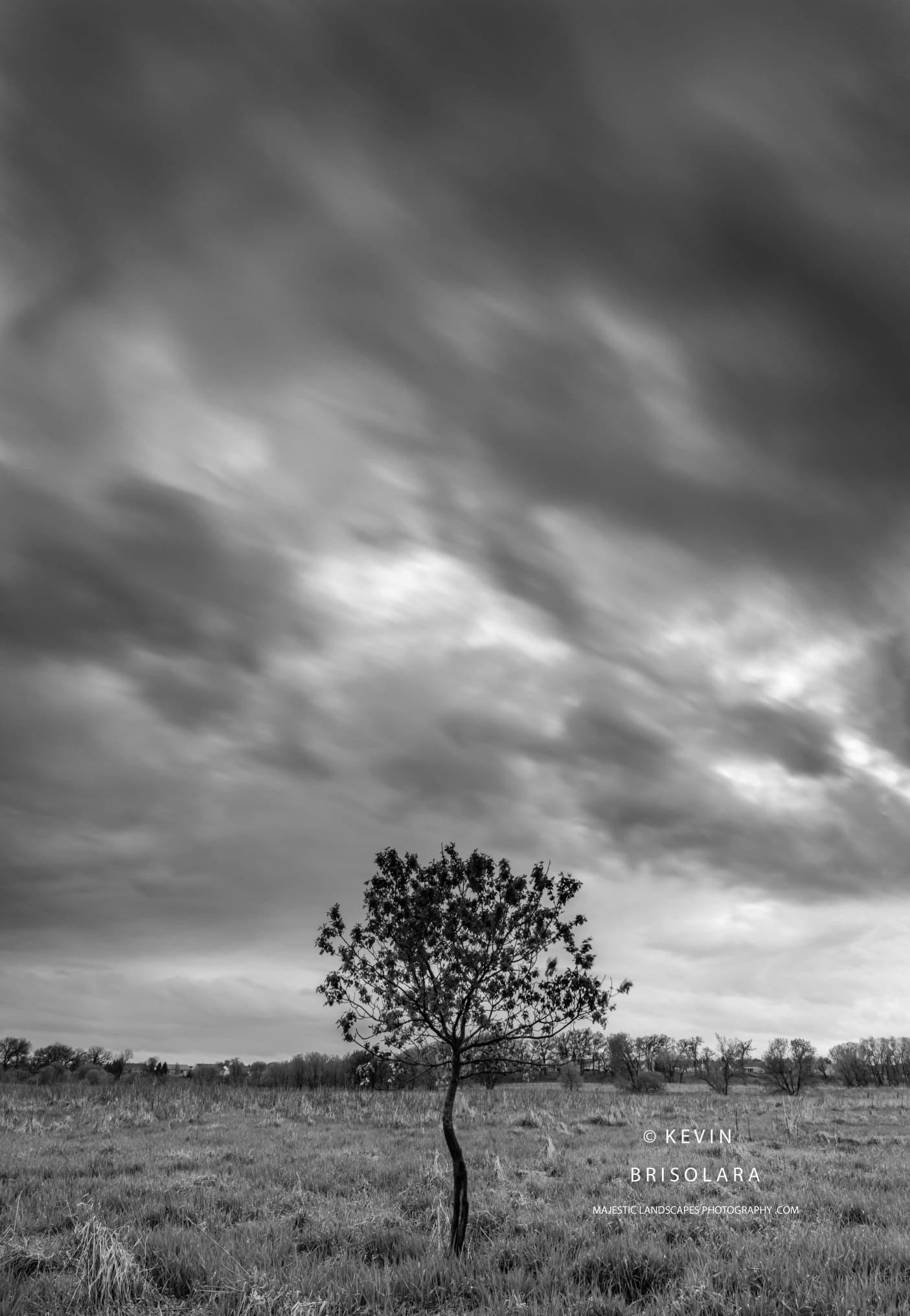 IN THE MIDDLE OF THE PRAIRIE