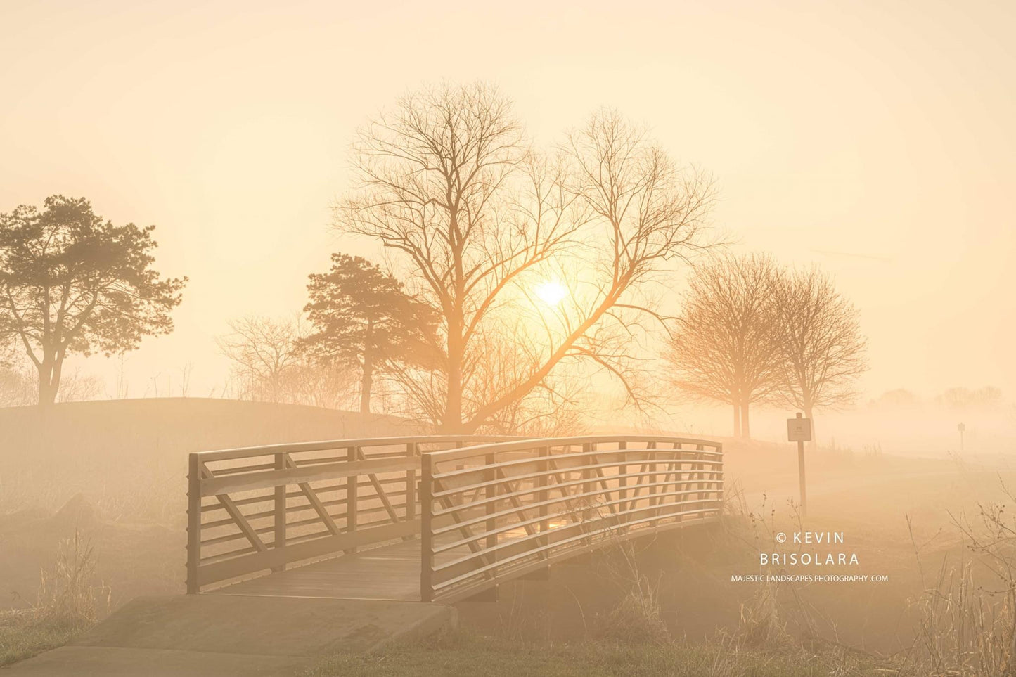 WALKING THROUGH THE PARK ON A MISTY MORNING