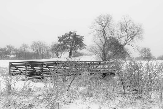 A VIEW OF PEACEFULNESS