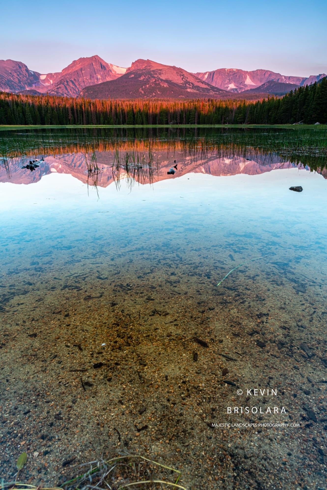 PURPLE MOUNTAIN REFLECTIONS