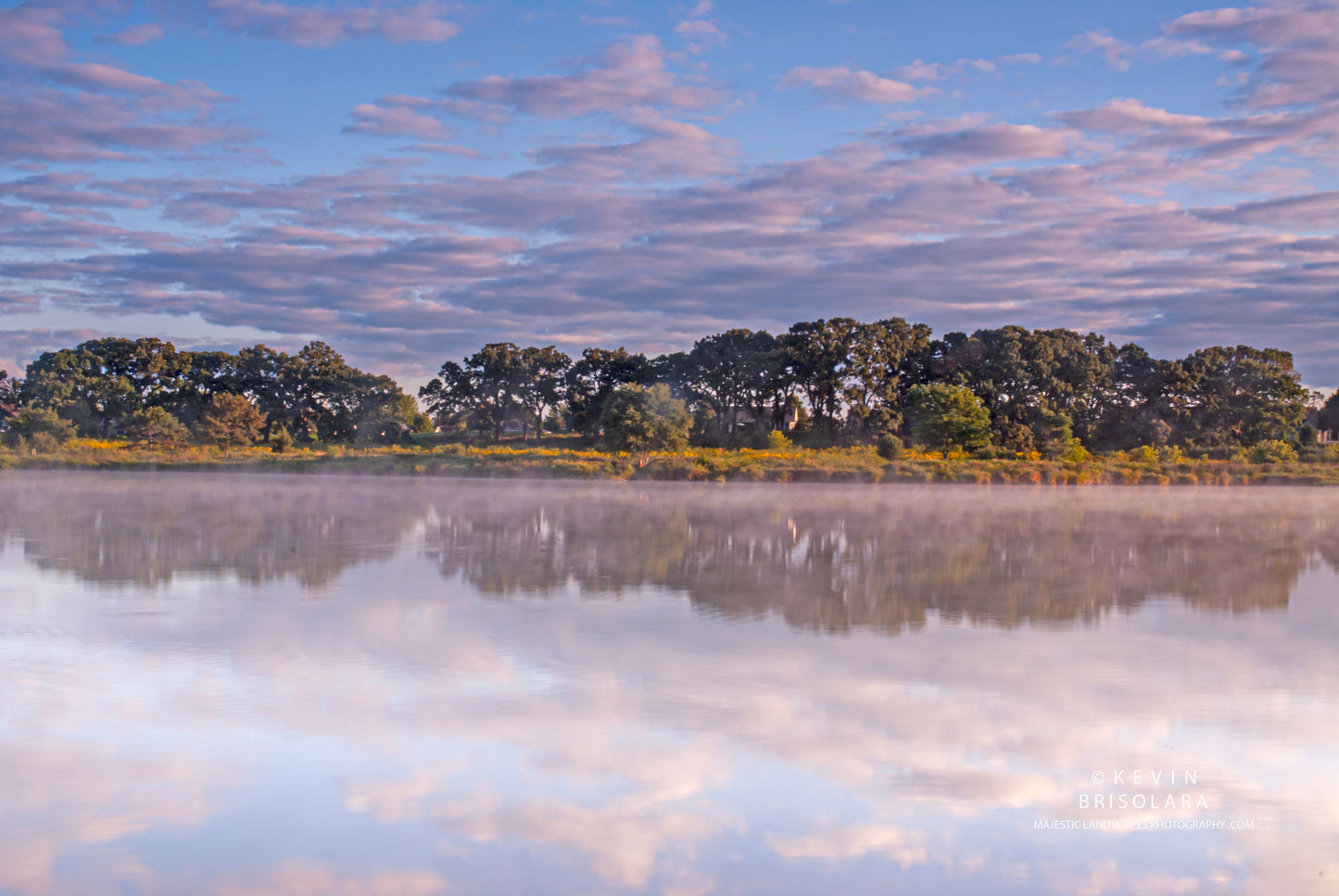 REFLECTIONS OF THE OAK TREES