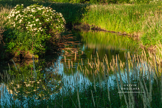 REFLECTIONS OF A BEAUTIFUL MORNING