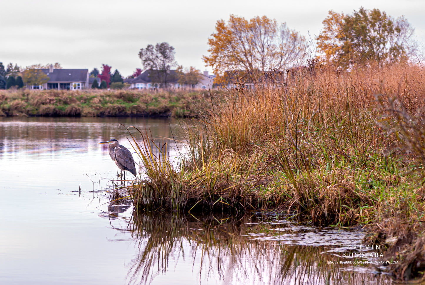 THE QUIETNESS OF AUTUMN