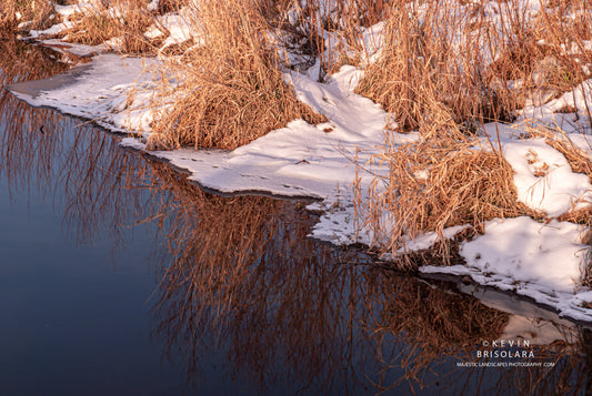 REFLECTIONS OF THE NORTHERN PRAIRIE