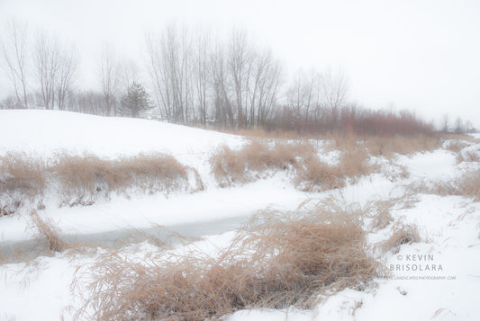 A BEAUTIFUL WINTER LANDSCAPE SCENE ALONG THE RIVER