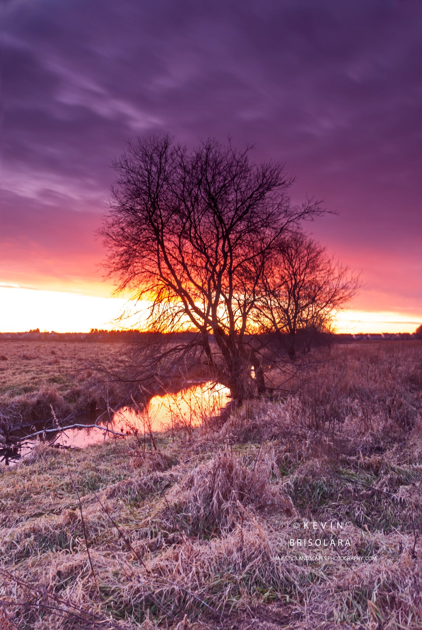 REFLECTIONS OF THE SUNSET FROM THE CREEK