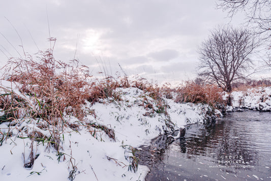 THE PRAIRIE OF SNOW AND CREEKS