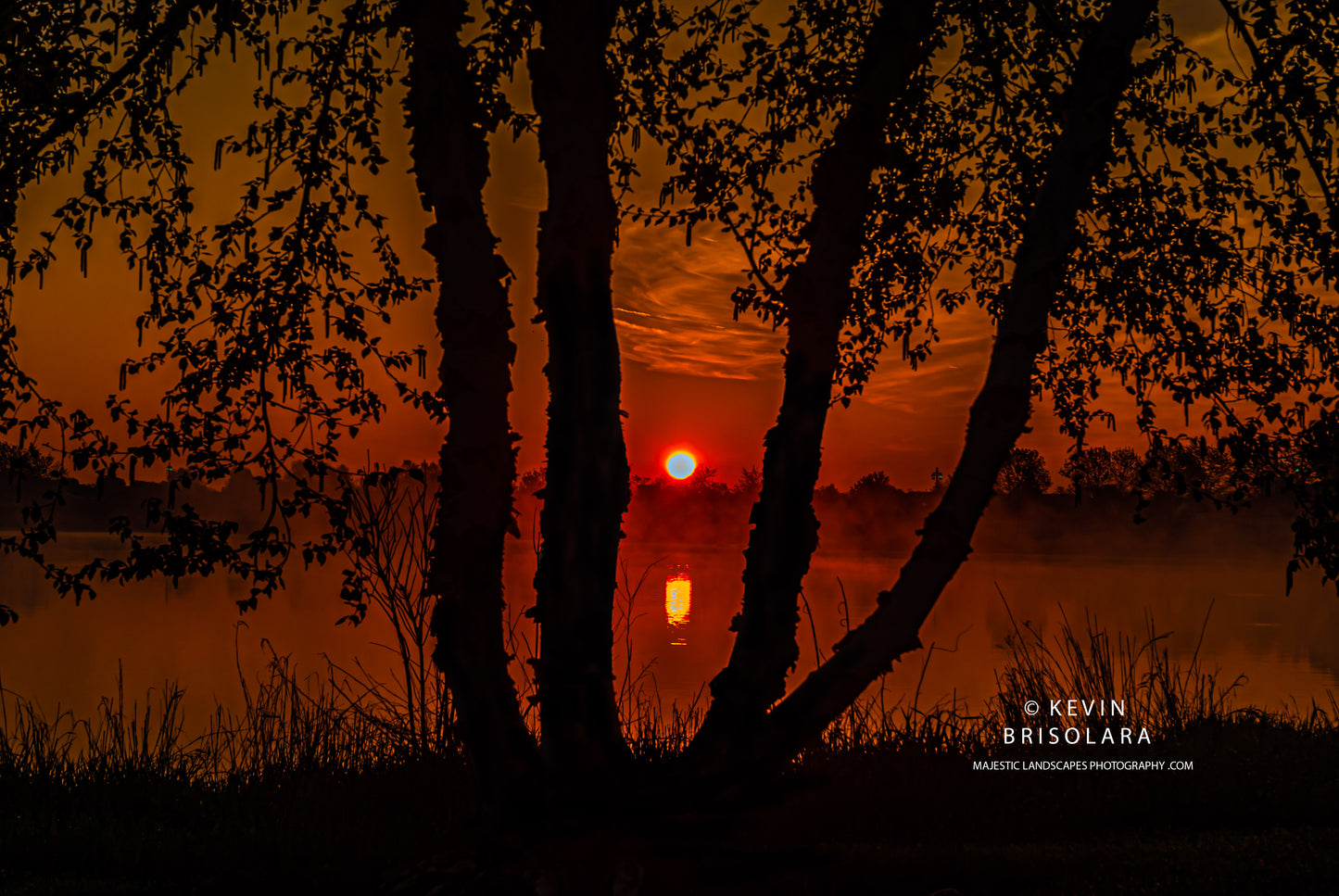 MORNING SILHOUETTE