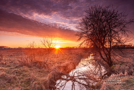 SENDING SUNBURSTS THROUGH THE PRAIRIE LANDSCAPE