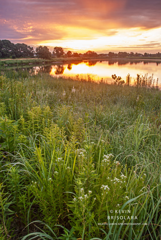 FINDING BEAUTY AROUND THE LAKE