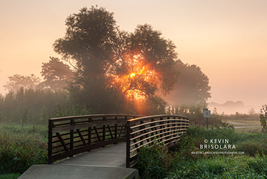 A MISTY MORNING SUNRISE