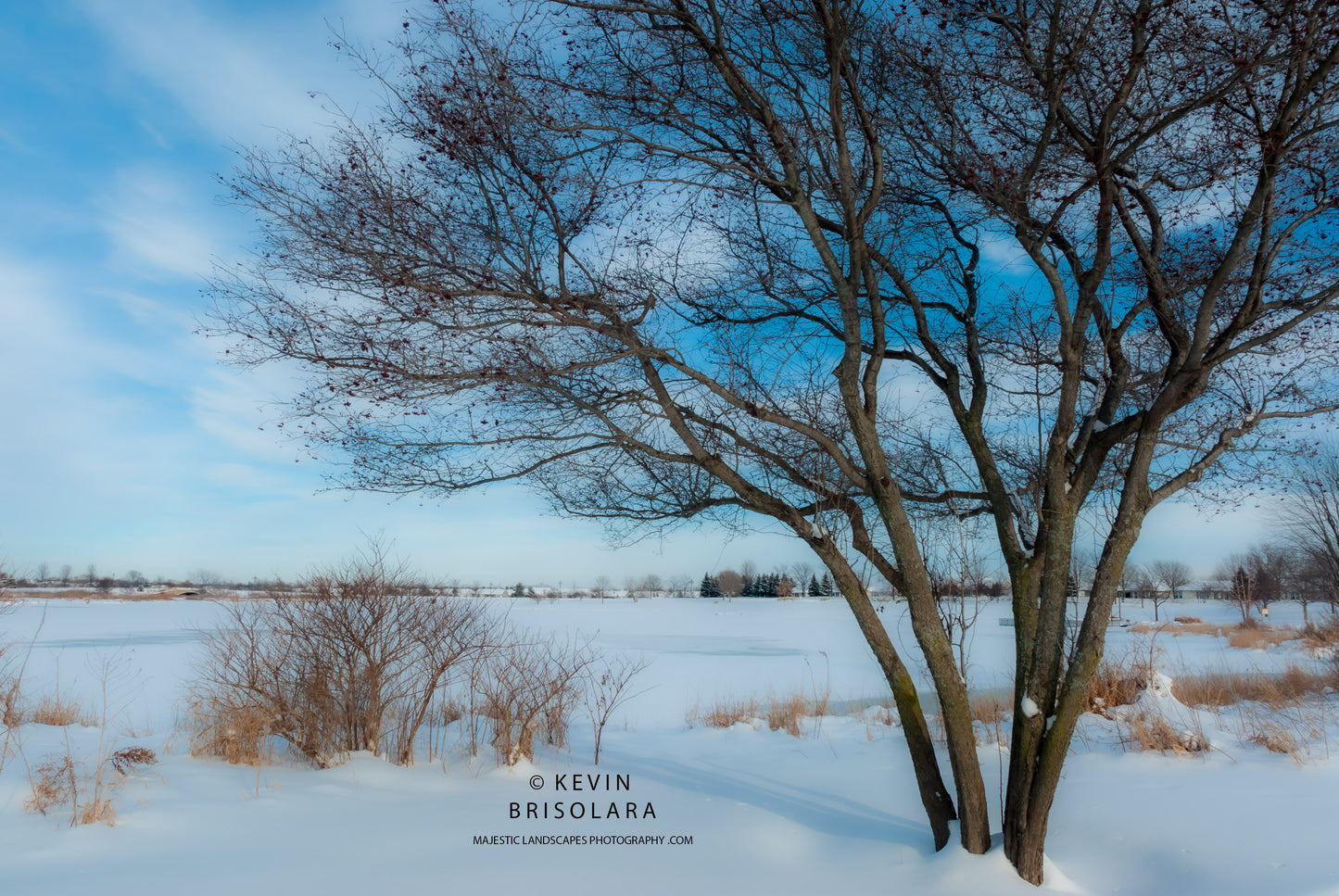 A BEAUTIFUL WINTER AFTERNOON IN THE PARK