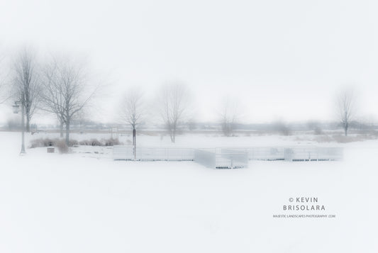 PEACE AND JOY OF WINTER